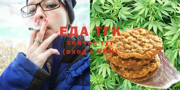 хмурый Абаза