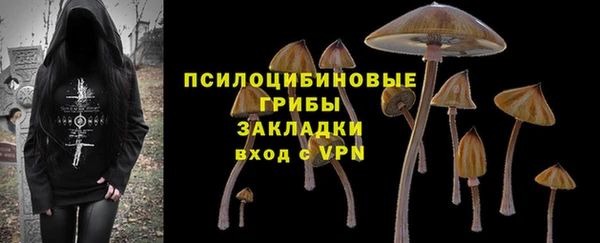 крисы Рославль