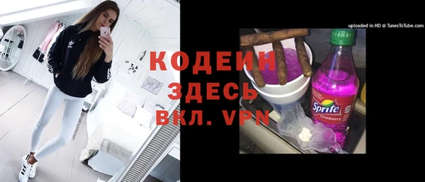 хмурый Абаза