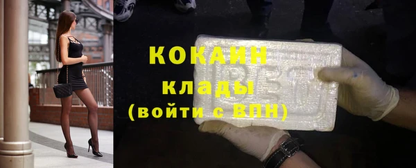 хмурый Абаза