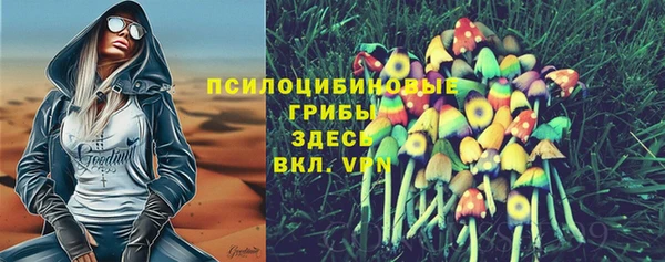 дурь Абдулино
