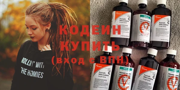 хмурый Абаза