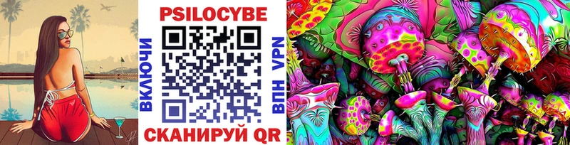 Псилоцибиновые грибы прущие грибы  Спас-Клепики 